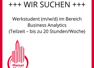 Werkstudent (m/w/d) im Bereich Business Analytics